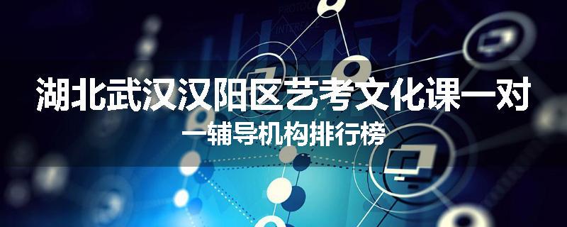 湖北武汉汉阳区艺考文化课一对一辅导机构排行榜