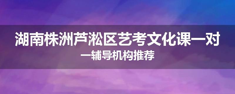 湖南株洲芦淞区艺考文化课一对一辅导机构推荐
