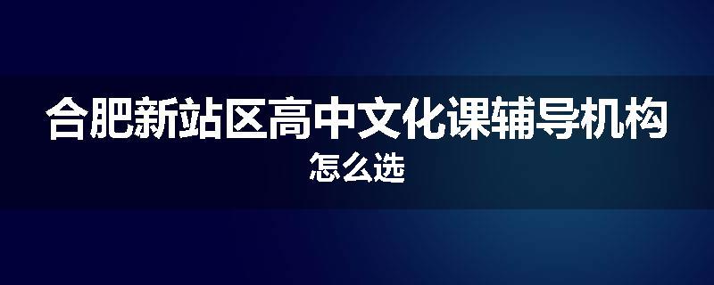 合肥新站区高中文化课辅导机构怎么选