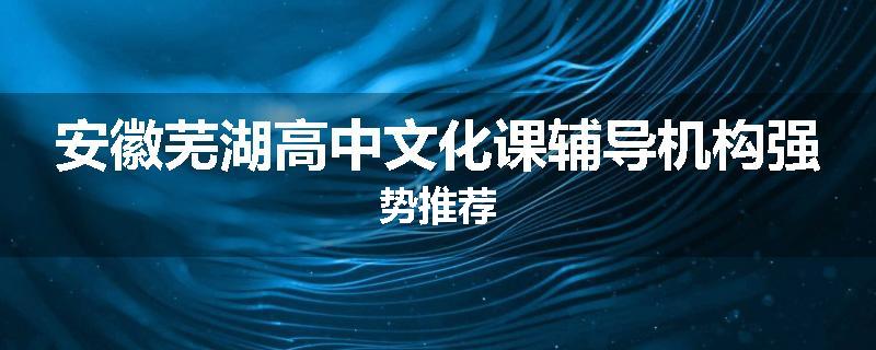 安徽芜湖高中文化课辅导机构强势推荐