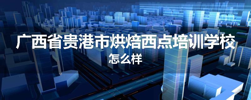 广西省贵港市烘焙西点培训学校怎么样