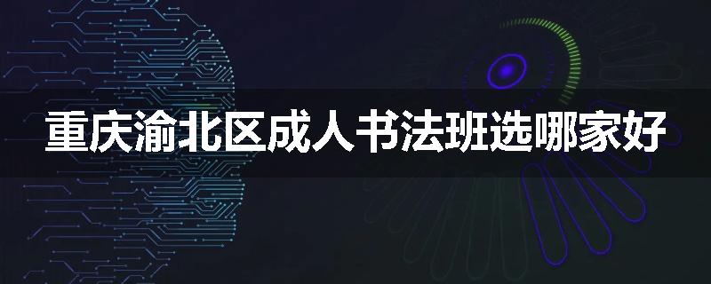 重庆渝北区成人书法班选哪家好
