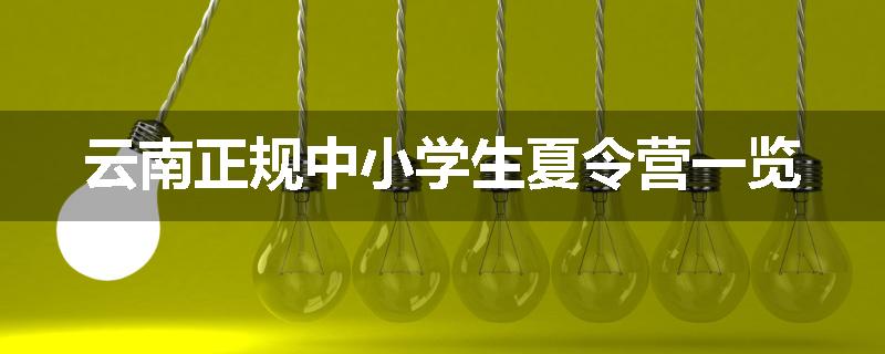 云南正规中小学生夏令营一览
