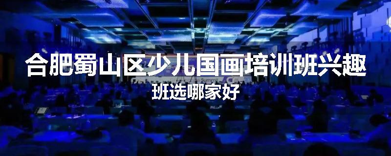 合肥蜀山区少儿国画培训班兴趣班选哪家好