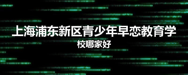 上海浦东新区青少年早恋教育学校哪家好