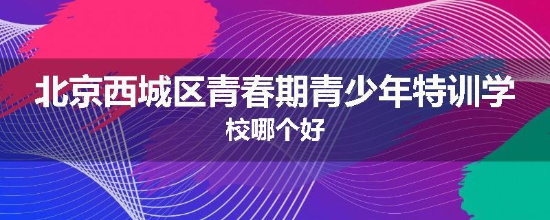北京西城区青春期青少年特训学校哪个好