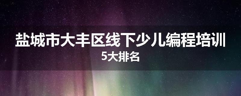 盐城市大丰区线下少儿编程培训5大排名