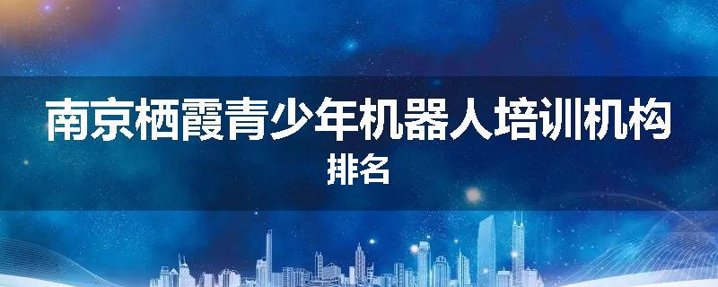南京栖霞青少年机器人培训机构排名