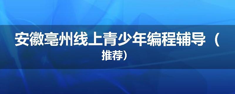 安徽亳州线上青少年编程辅导（推荐）