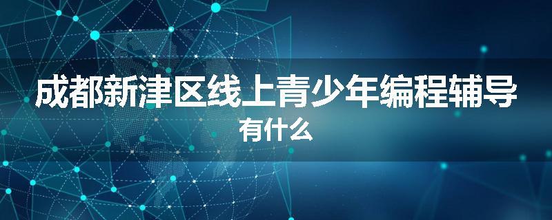 成都新津区线上青少年编程辅导有什么