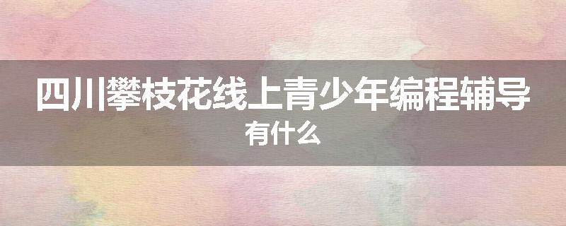 四川攀枝花线上青少年编程辅导有什么
