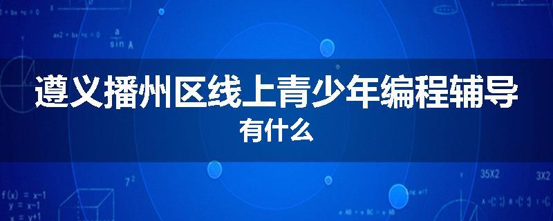 遵义播州区线上青少年编程辅导有什么