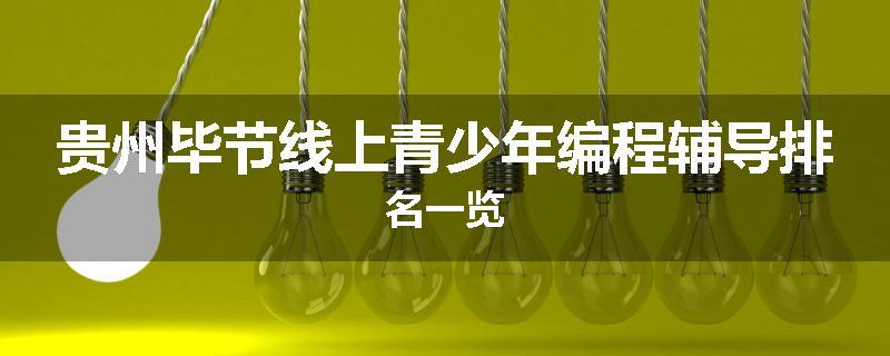 贵州毕节线上青少年编程辅导排名一览