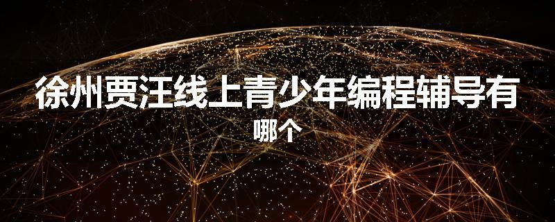 徐州贾汪线上青少年编程辅导有哪个