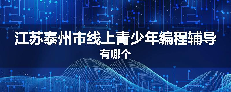 江苏泰州市线上青少年编程辅导有哪个