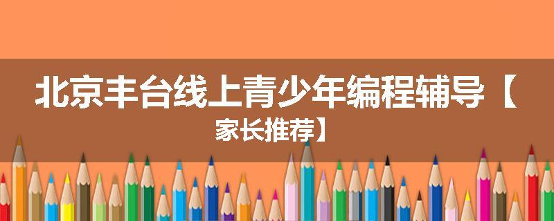 北京丰台线上青少年编程辅导【家长推荐】