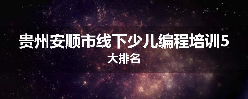 贵州安顺市线下少儿编程培训5大排名
