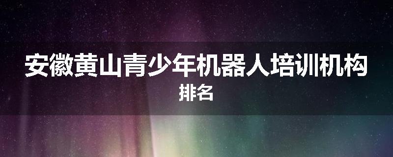 安徽黄山青少年机器人培训机构排名