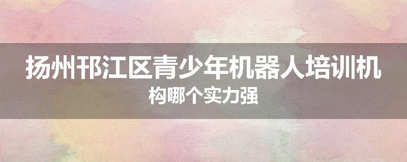 扬州邗江区青少年机器人培训机构哪个实力强