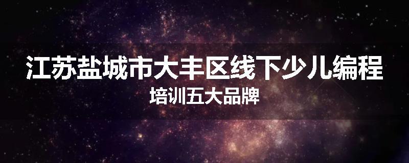 江苏盐城市大丰区线下少儿编程培训五大品牌