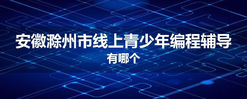 安徽滁州市线上青少年编程辅导有哪个