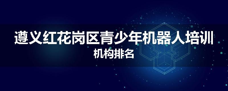 遵义红花岗区青少年机器人培训机构排名