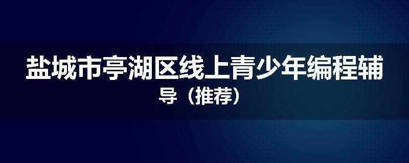 盐城市亭湖区线上青少年编程辅导（推荐）