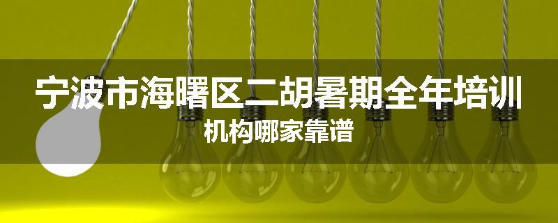 宁波市海曙区二胡暑期全年培训机构哪家靠谱