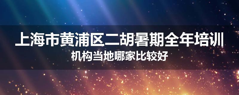 上海市黄浦区二胡暑期全年培训机构当地哪家比较好