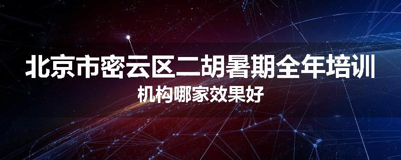 北京市密云区二胡暑期全年培训机构哪家效果好