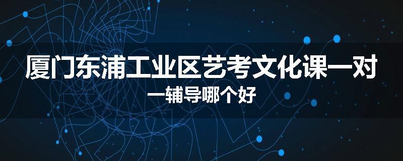 厦门东浦工业区艺考文化课一对一辅导哪个好