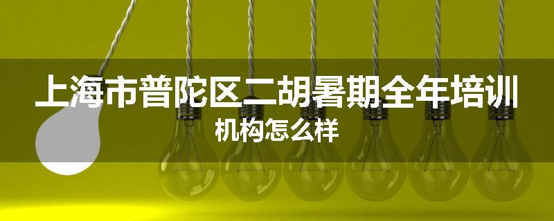 上海市普陀区二胡暑期全年培训机构怎么样