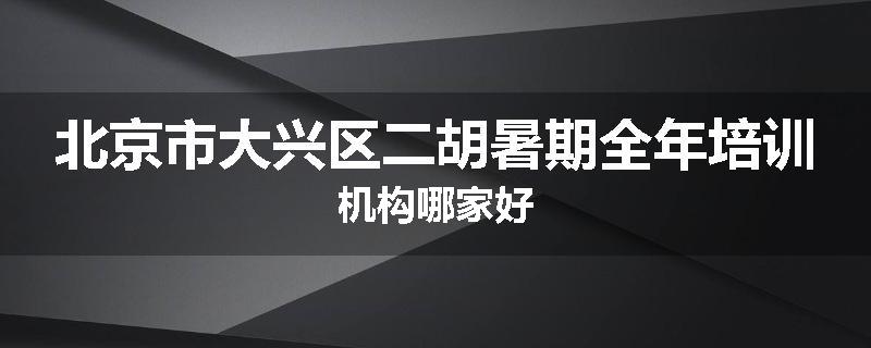 北京市大兴区二胡暑期全年培训机构哪家好