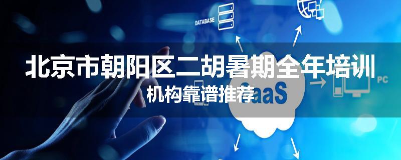 北京市朝阳区二胡暑期全年培训机构靠谱推荐