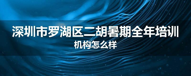 深圳市罗湖区二胡暑期全年培训机构怎么样