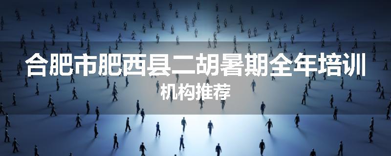 合肥市肥西县二胡暑期全年培训机构推荐