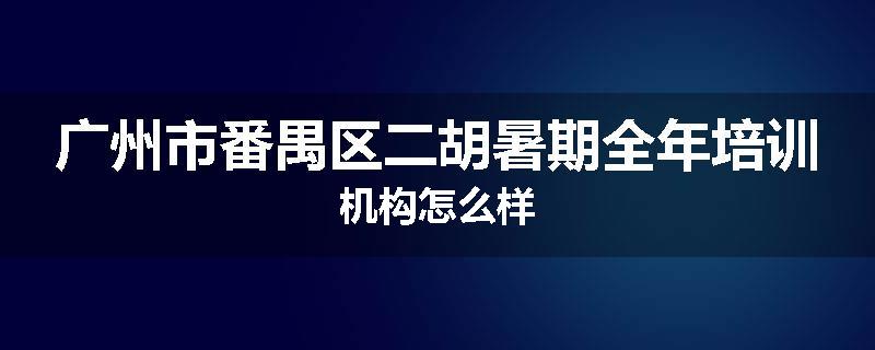 广州市番禺区二胡暑期全年培训机构怎么样