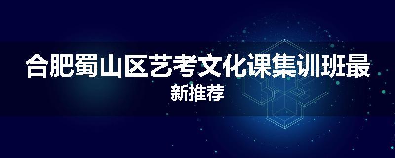 合肥蜀山区艺考文化课集训班最新推荐