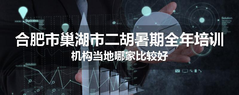 合肥市巢湖市二胡暑期全年培训机构当地哪家比较好