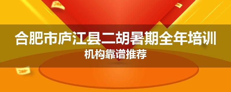 合肥市庐江县二胡暑期全年培训机构靠谱推荐