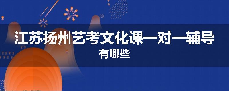 江苏扬州艺考文化课一对一辅导有哪些