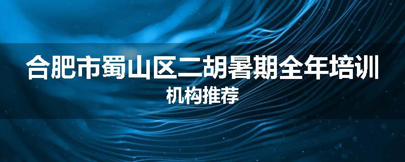 合肥市蜀山区二胡暑期全年培训机构推荐