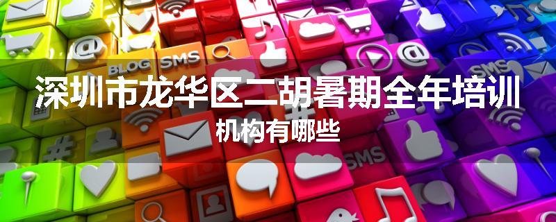 深圳市龙华区二胡暑期全年培训机构有哪些