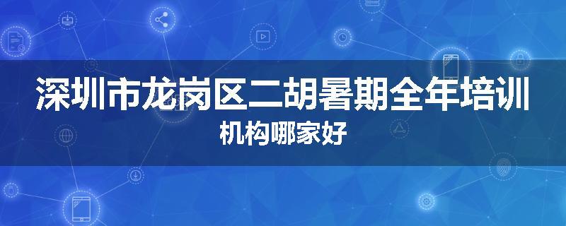 深圳市龙岗区二胡暑期全年培训机构哪家好