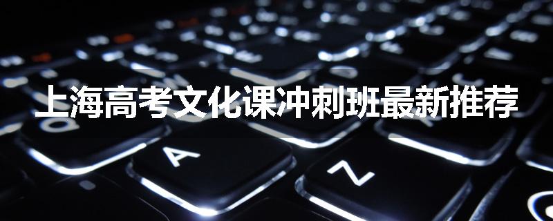 上海高考文化课冲刺班最新推荐