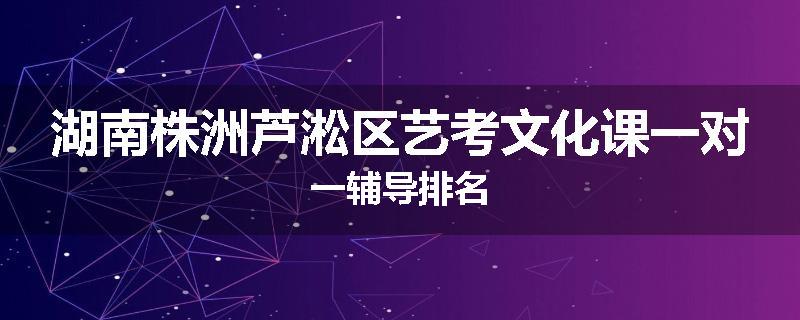 湖南株洲芦淞区艺考文化课一对一辅导排名
