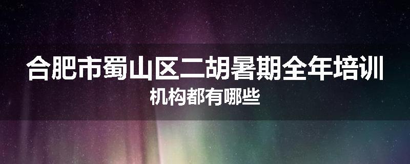 合肥市蜀山区二胡暑期全年培训机构都有哪些