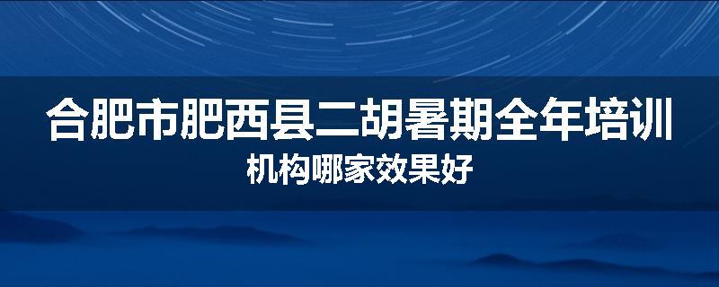 合肥市肥西县二胡暑期全年培训机构哪家效果好