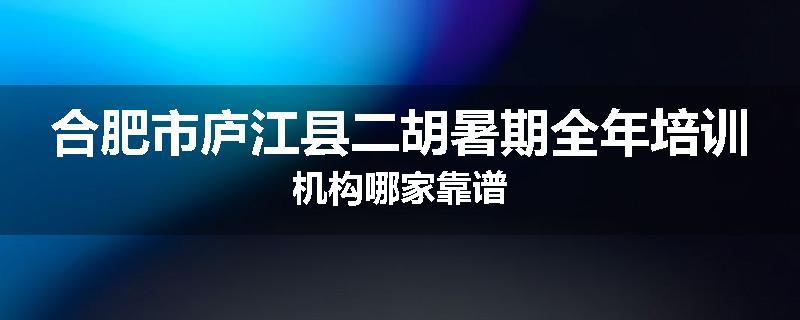 合肥市庐江县二胡暑期全年培训机构哪家靠谱