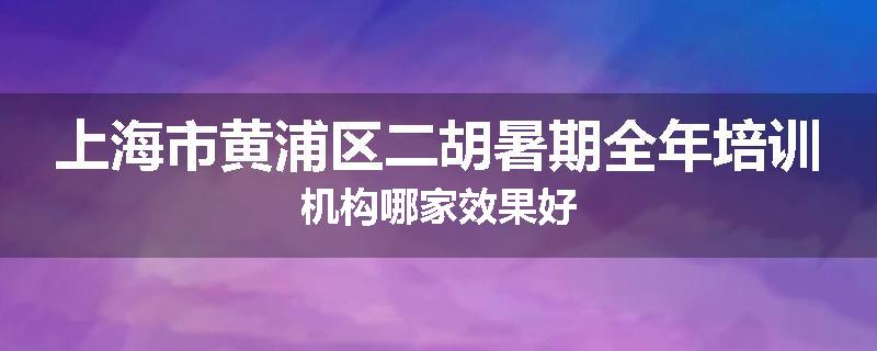 上海市黄浦区二胡暑期全年培训机构哪家效果好